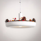 Contemporary Green Living LED Ceiling Pendant