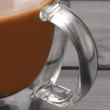 Double Wall Heat Resistant Borosilicate Glass Cup With Handle (450ml)