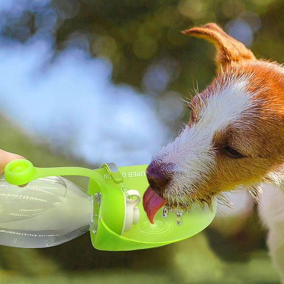 EthicalDeals | Expandable Sports Outdoor Pet Dog Water Bottle