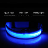 Glowing LED Dog Collar Light