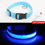 Glowing LED Dog Collar Light