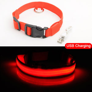 Glowing LED Dog Collar Light