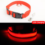 Glowing LED Dog Collar Light