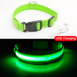 Glowing LED Dog Collar Light