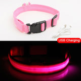 Glowing LED Dog Collar Light