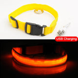 Glowing LED Dog Collar Light